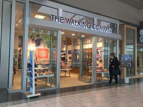 Jobs in The Walking Company - reviews